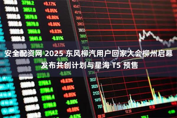 安全配资网 2025 东风柳汽用户回家大会柳州启幕 发布共创计划与星海 T5 预售